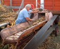 /album/museum-photos/forage-chopping-jpg/